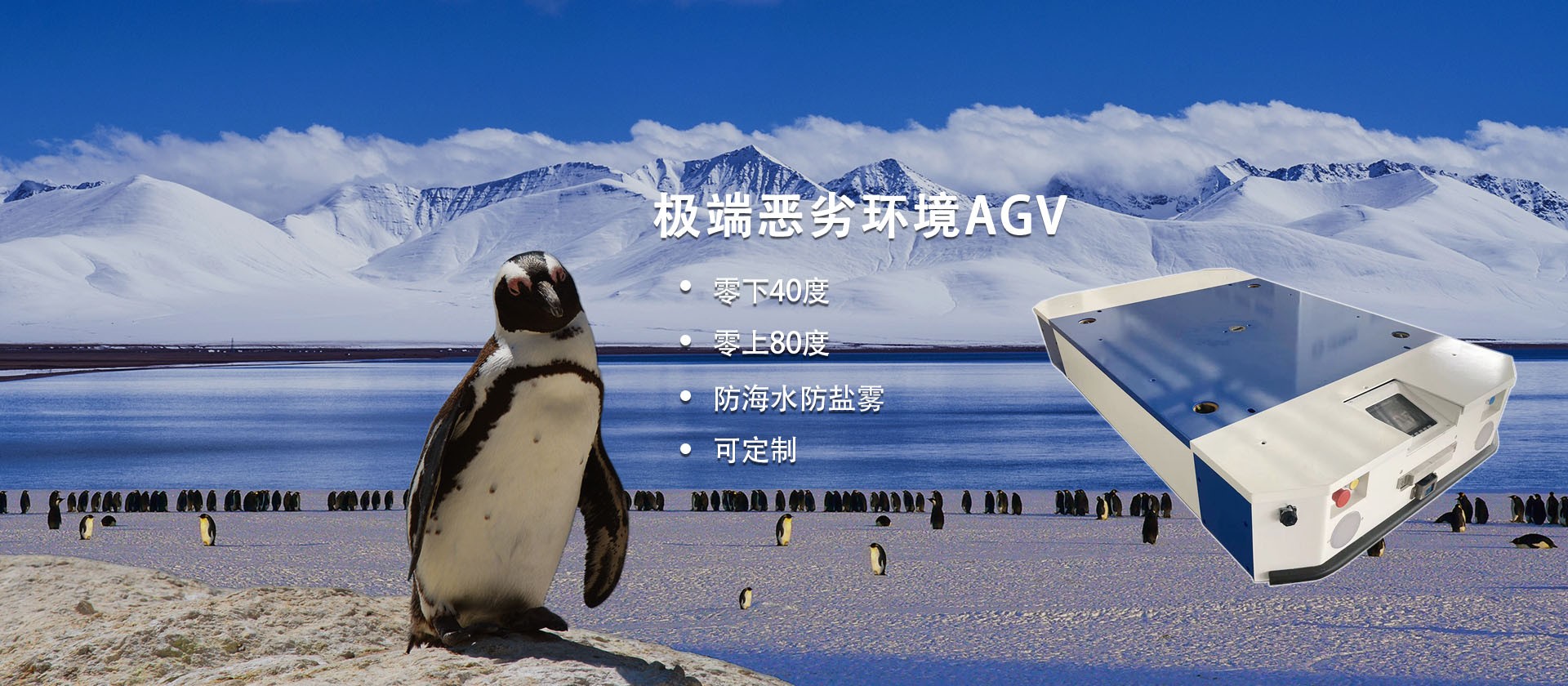 球盟会手机版登录